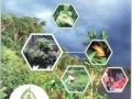 FORESTERIA ANALOGA una Guía practica para la Restauración de la Biodiversidad