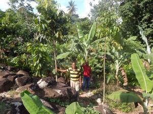 Productor Jose Nolasco en su parcela agroforestal 