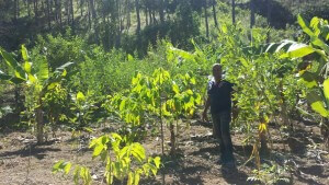 Parcela agroforestal en Juan Santiago propiedad del señor Ismenio D Oleo