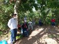 taller-agroferesteria-juan-de-la-cruz-juan-santiago