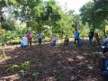 taller-agroforesteria-derrumbadero