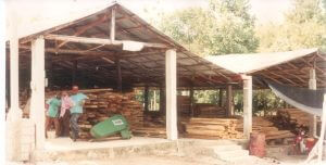 Etapa 1992-1998 Empresa-Forestal-Zambrana-2