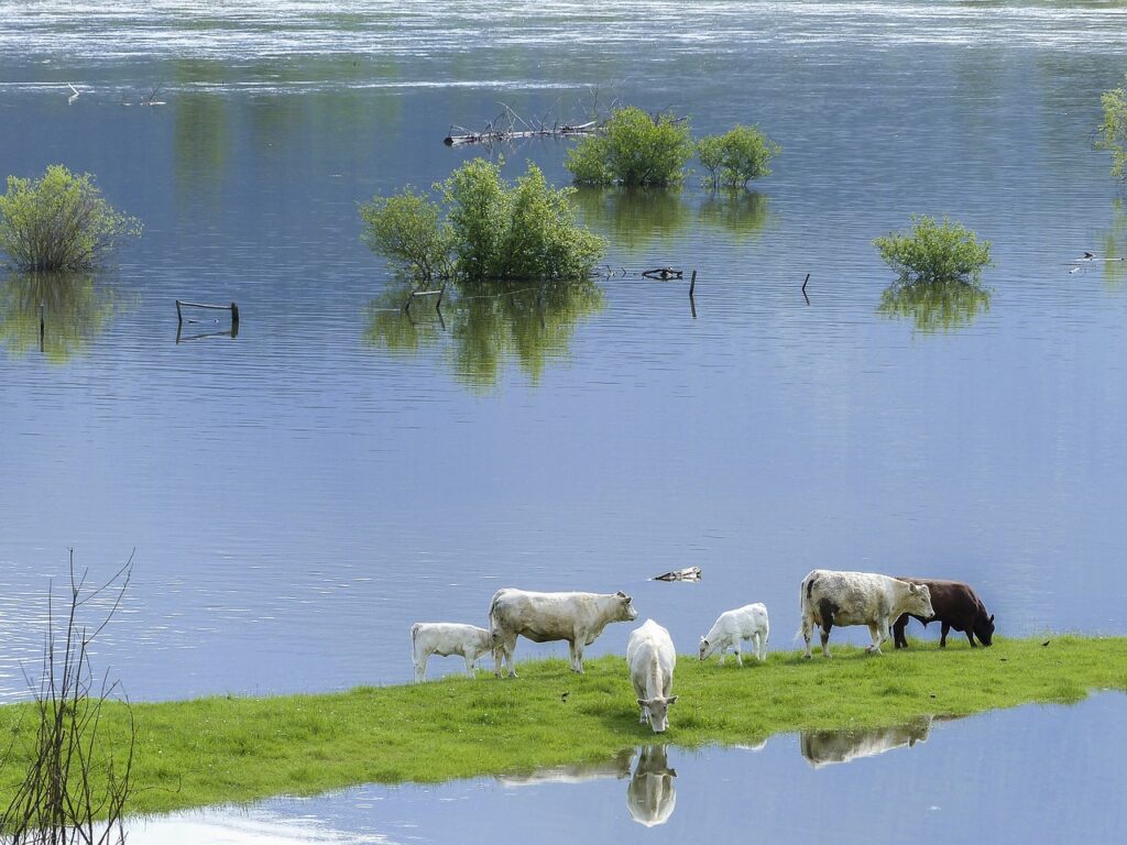 efectos negativos de inundaciones