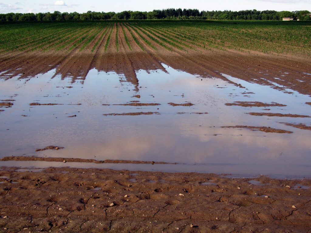 efectos negativos de inundaciones